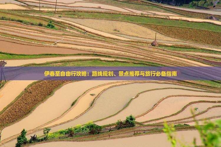 伊春至自由行攻略：路线规划、景点推荐与旅行必备指南
