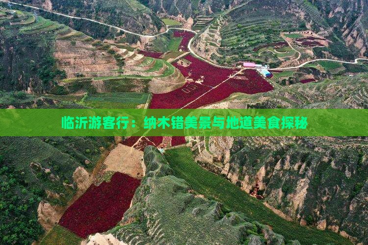 临沂游客行：纳木错美景与地道美食探秘