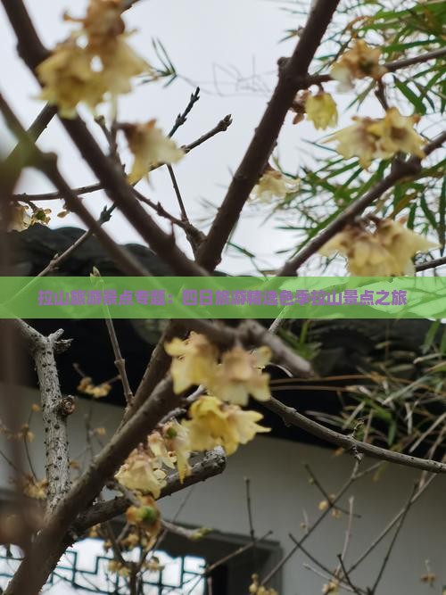 拉山旅游景点专题：四日旅游精选色季拉山景点之旅