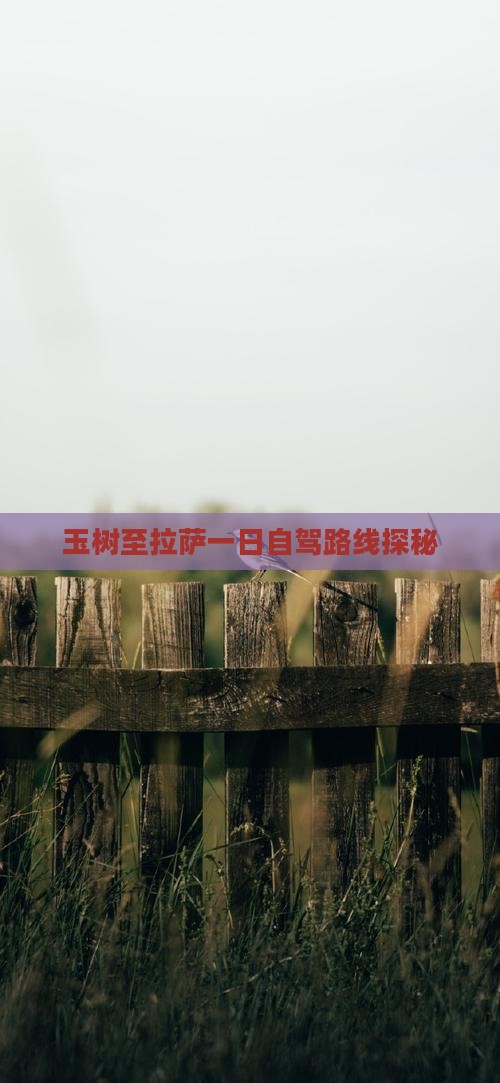 玉树至拉萨一日自驾路线探秘