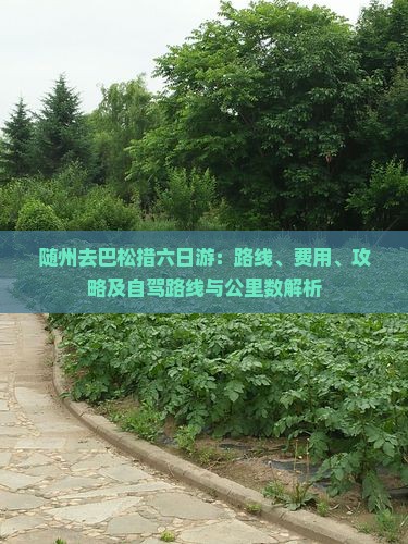 随州去巴松措六日游：路线、费用、攻略及自驾路线与公里数解析