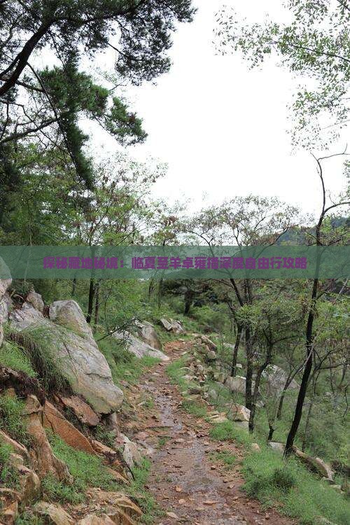 探秘藏地秘境：临夏至羊卓雍措深度自由行攻略