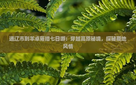 通辽市到羊卓雍措七日游：穿越高原秘境，探秘藏地风情
