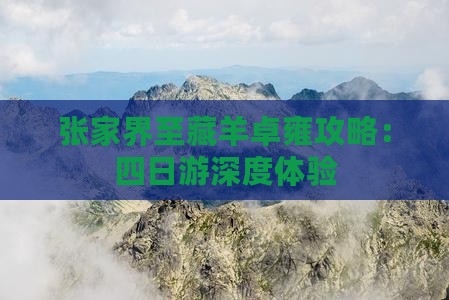 张家界至藏羊卓雍攻略：四日游深度体验