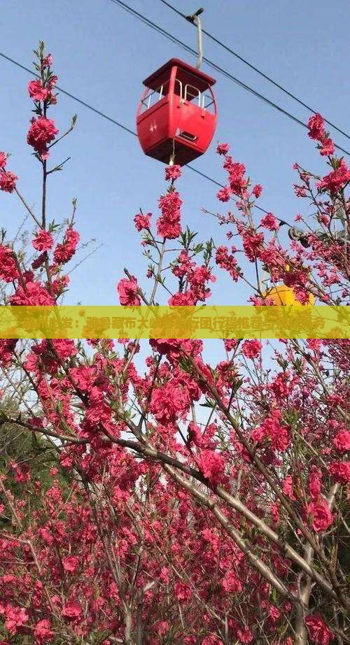苏州出发：雅鲁藏布大峡谷旅行团行程推荐与预订服务