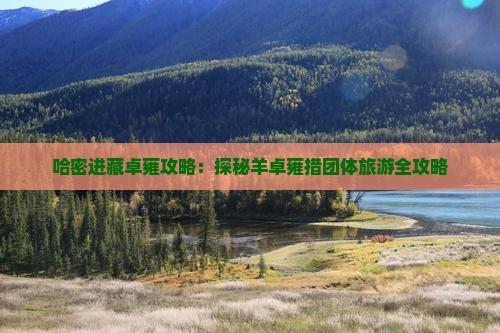 哈密进藏卓雍攻略：探秘羊卓雍措团体旅游全攻略