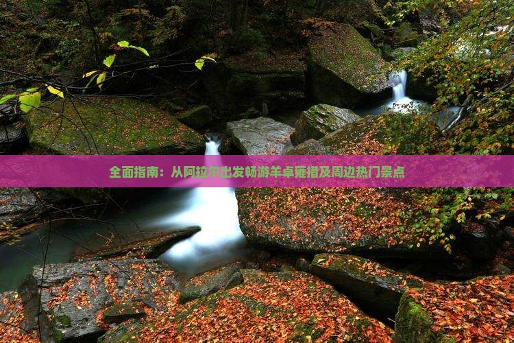 全面指南：从阿拉尔出发畅游羊卓雍措及周边热门景点