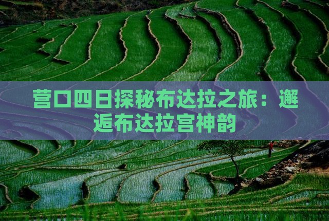营口四日探秘布达拉之旅：邂逅布达拉宫神韵