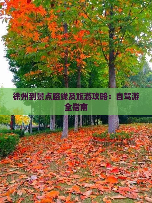 徐州到景点路线及旅游攻略：自驾游全指南