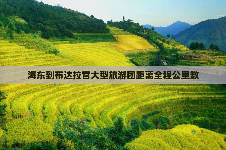 海东到布达拉宫大型旅游团距离全程公里数