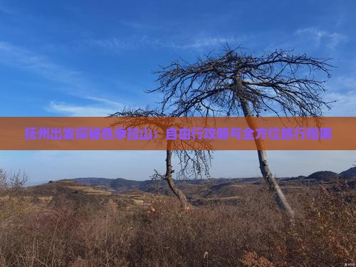 抚州出发探秘色季拉山：自由行攻略与全方位旅行指南