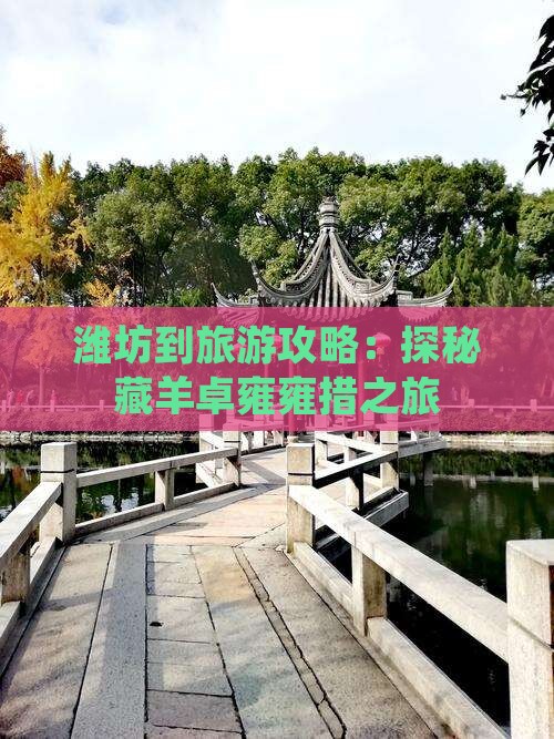 潍坊到旅游攻略：探秘藏羊卓雍雍措之旅