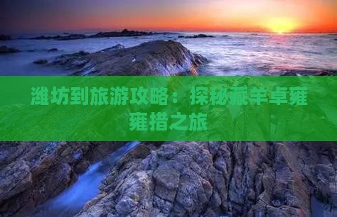 潍坊到旅游攻略：探秘藏羊卓雍雍措之旅