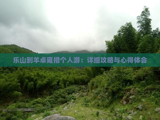 乐山到羊卓雍措个人游：详细攻略与心得体会