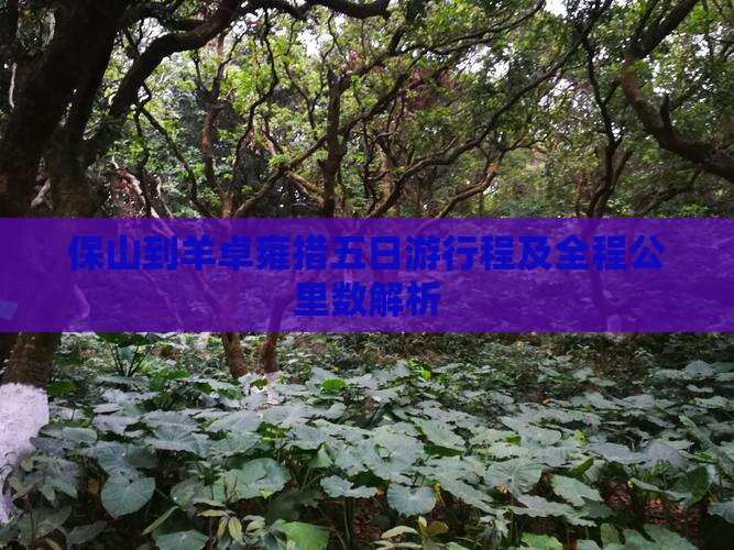 保山到羊卓雍措五日游行程及全程公里数解析 保山到羊卓雍措五日游行程及全程公里数解析