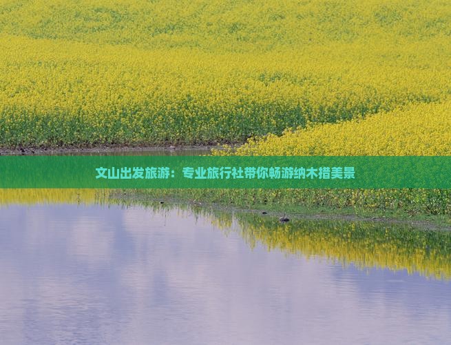 文山出发旅游：专业旅行社带你畅游纳木措美景