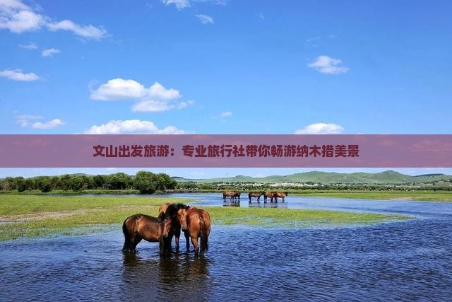 文山出发旅游：专业旅行社带你畅游纳木措美景