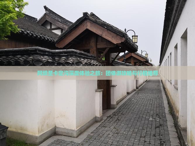 阿坝至卡定沟深度体验之旅：团体游攻略与行程推荐