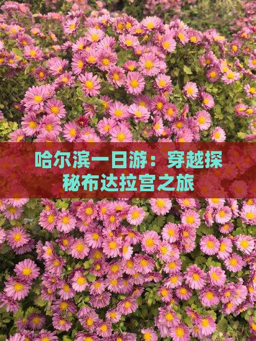 哈尔滨一日游：穿越探秘布达拉宫之旅