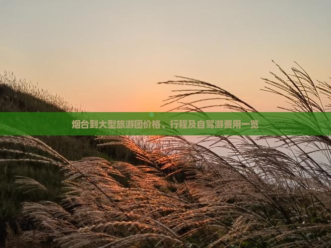 烟台到大型旅游团价格、行程及自驾游费用一览