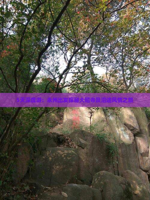 5天深度游：永州出发探秘大昭寺及沿途风情之旅