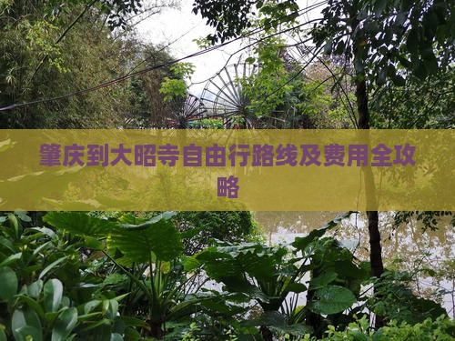 肇庆到大昭寺自由行路线及费用全攻略