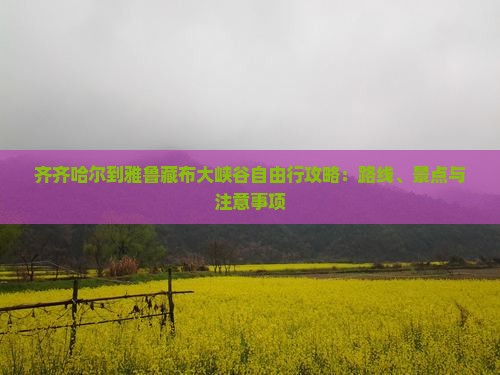 齐齐哈尔到雅鲁藏布大峡谷自由行攻略：路线、景点与注意事项