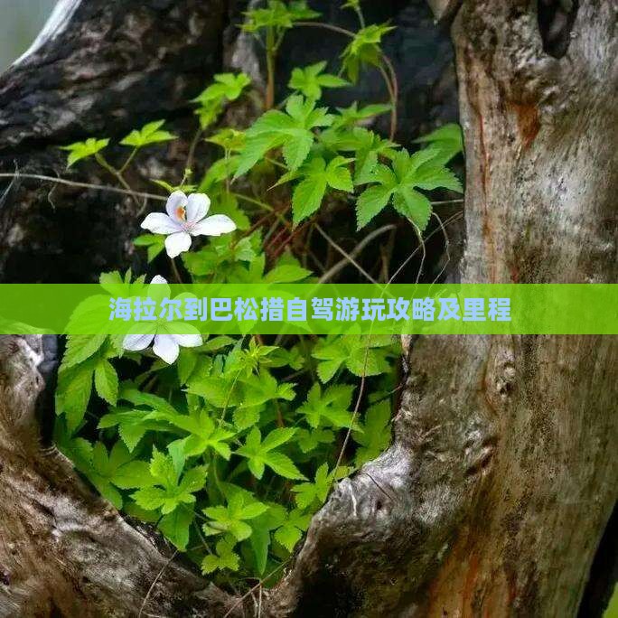 海拉尔到巴松措自驾游玩攻略及里程