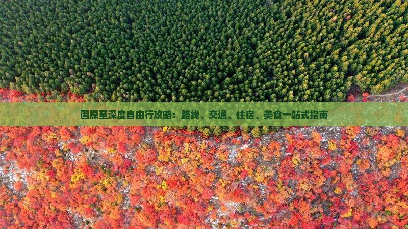固原至深度自由行攻略：路线、交通、住宿、美食一站式指南