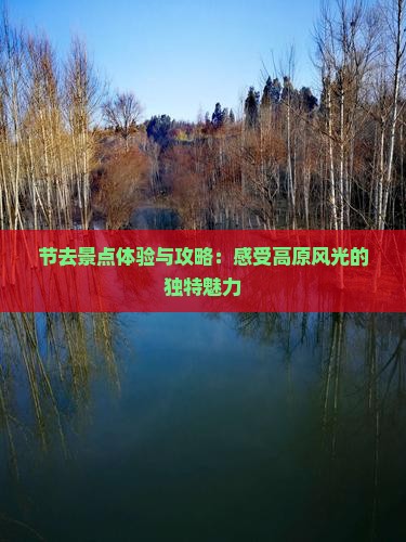 节去景点体验与攻略：感受高原风光的独特魅力