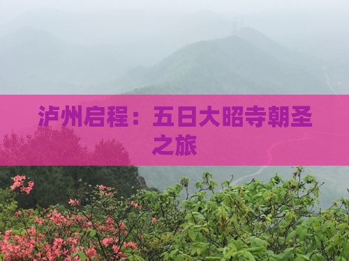 泸州启程：五日大昭寺朝圣之旅