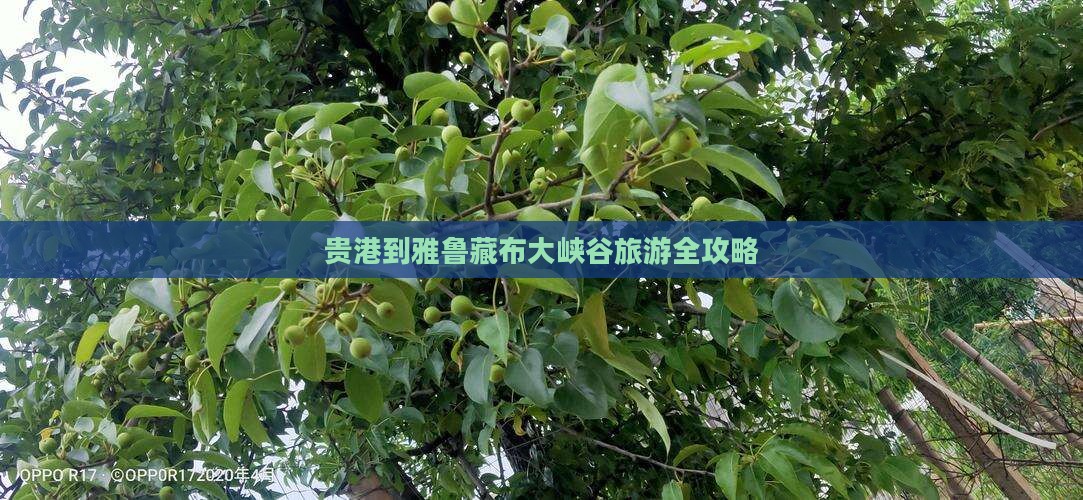 贵港到雅鲁藏布大峡谷旅游全攻略