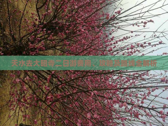 天水去大昭寺二日游费用、攻略及路线全解析