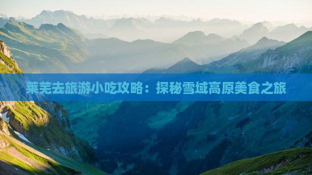莱芜去旅游小吃攻略：探秘雪域高原美食之旅