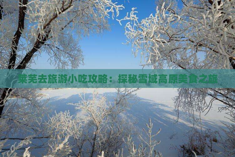 莱芜去旅游小吃攻略：探秘雪域高原美食之旅