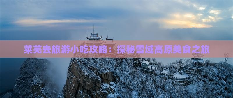 莱芜去旅游小吃攻略：探秘雪域高原美食之旅