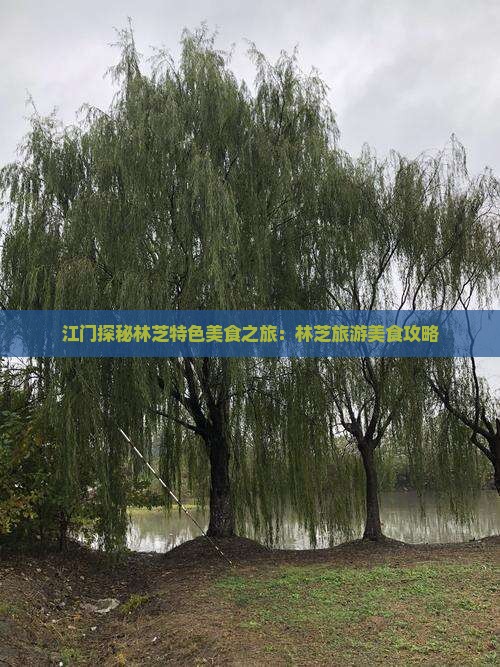 江门探秘林芝特色美食之旅：林芝旅游美食攻略