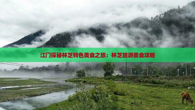 江门探秘林芝特色美食之旅：林芝旅游美食攻略