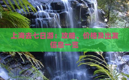 上海去七日游：攻略、价格及出发信息一览