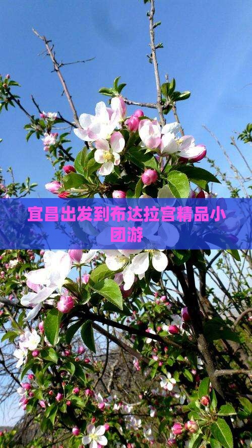 宜昌出发到布达拉宫精品小团游