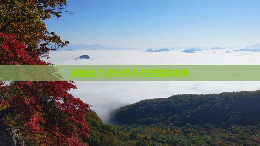 诸城去大昭寺景点完整路线攻略
