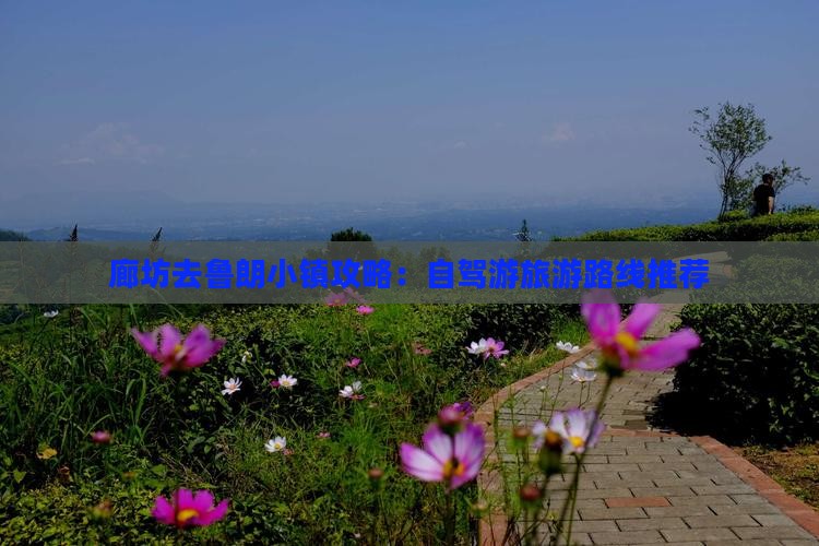 廊坊去鲁朗小镇攻略：自驾游旅游路线推荐
