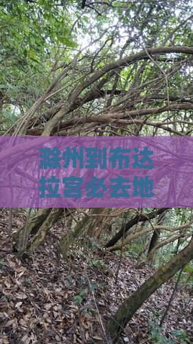 滁州到布达拉宫必去地自驾行程及公里数查询