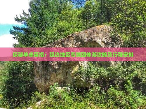 探秘羊卓雍措：延边地区专属团体游攻略及行程安排