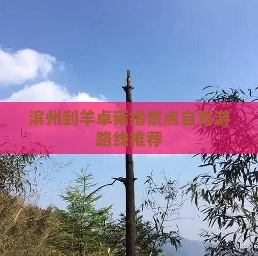 滨州到羊卓雍措景点自驾游路线推荐