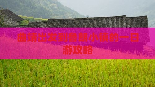 曲靖出发到鲁朗小镇的一日游攻略
