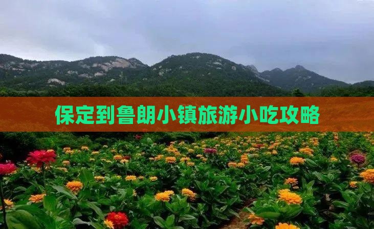 保定到鲁朗小镇旅游小吃攻略