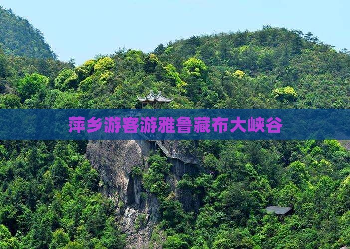萍乡游客游雅鲁藏布大峡谷