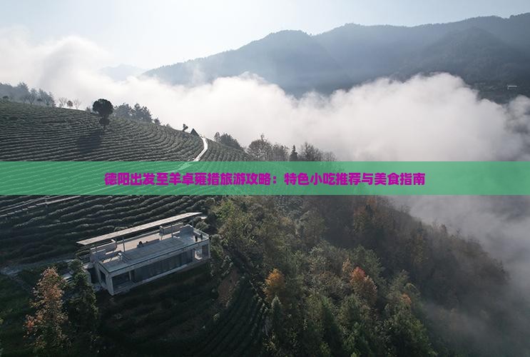 德阳出发至羊卓雍措旅游攻略：特色小吃推荐与美食指南