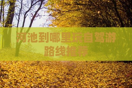 河池到哪里玩自驾游路线推荐
